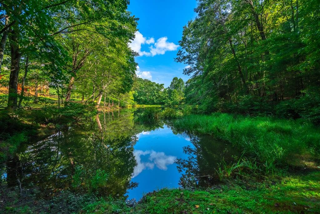 300 Cloudland Trace, Epworth GA 30541 - Photo