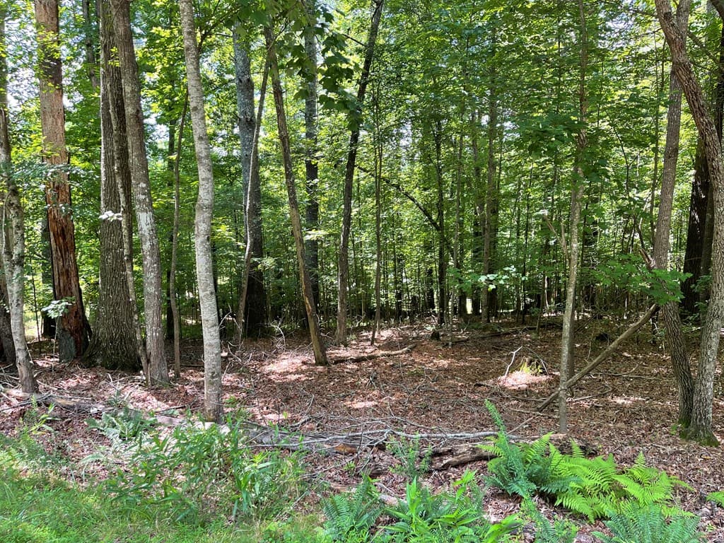 Lot 15 Summit Way, Blairsville GA 30512 - Photo