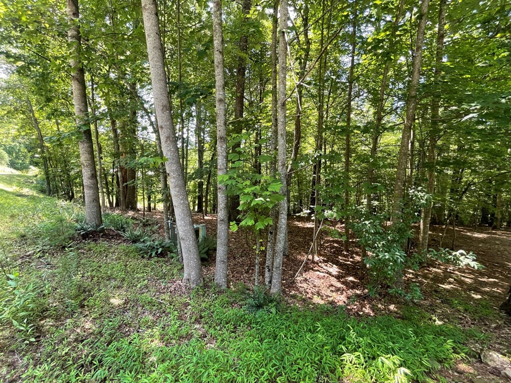 Lot 15 Summit Way, Blairsville GA 30512 - Photo