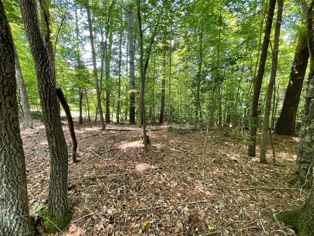 Lot 15 Summit Way, Blairsville GA 30512 - Primary photo
