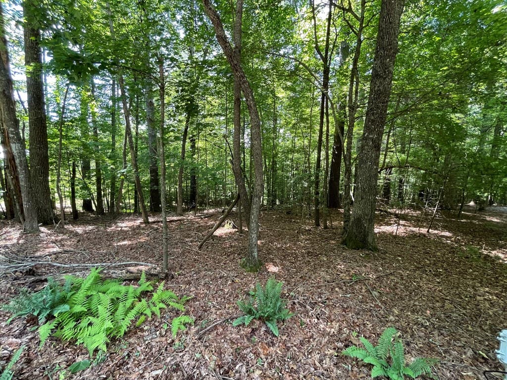 Lot 15 Summit Way, Blairsville GA 30512 - Photo