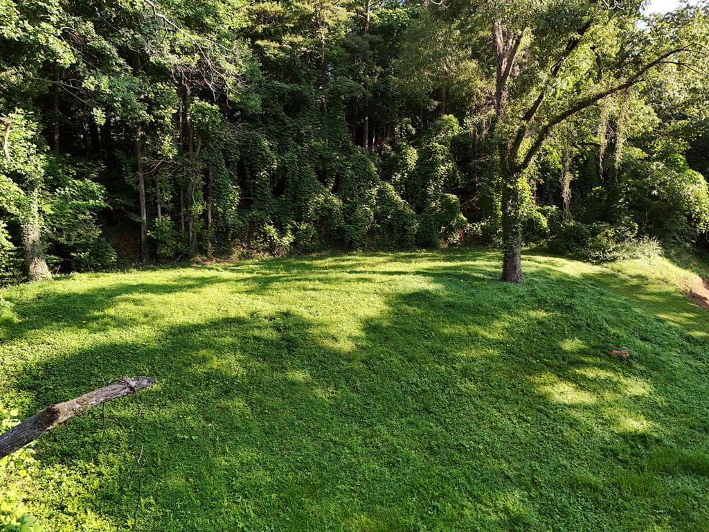 59 Bradley Street, Blue Ridge GA 30513 - Photo