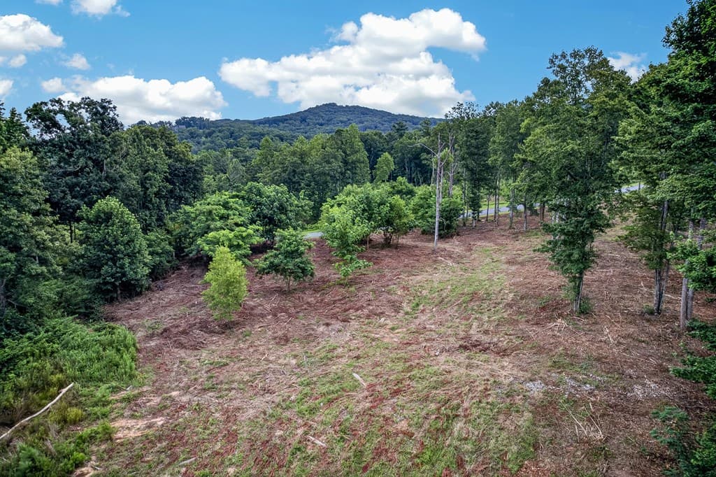 LT 227 Vineyard At Yukon, Talking Rock GA 30175 - Photo