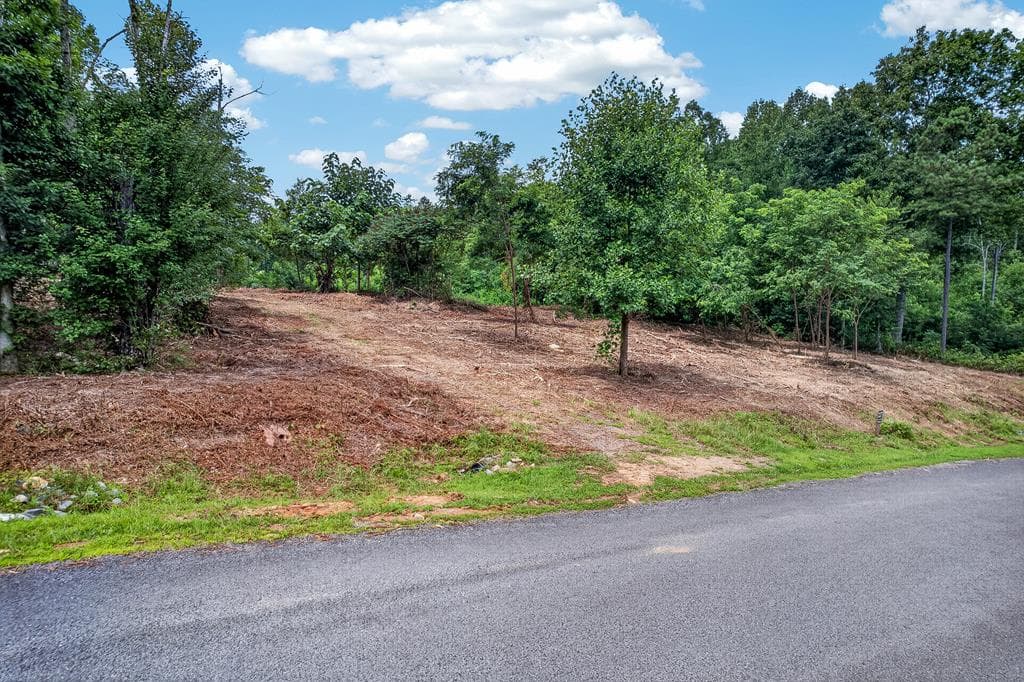 LT 227 Vineyard At Yukon, Talking Rock GA 30175 - Photo