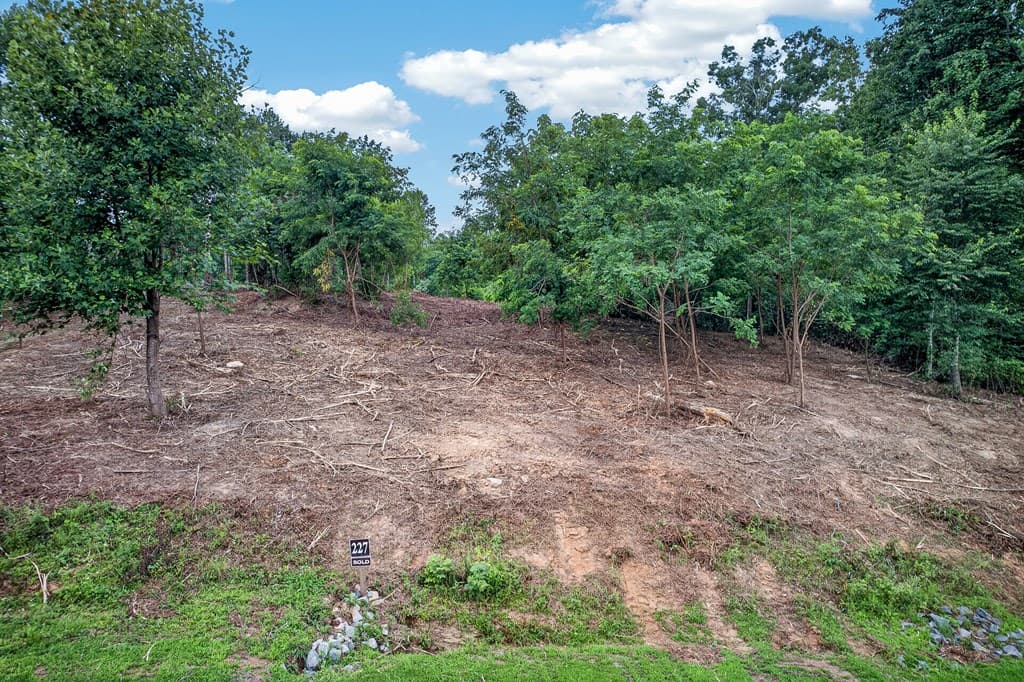LT 227 Vineyard At Yukon, Talking Rock GA 30175 - Photo