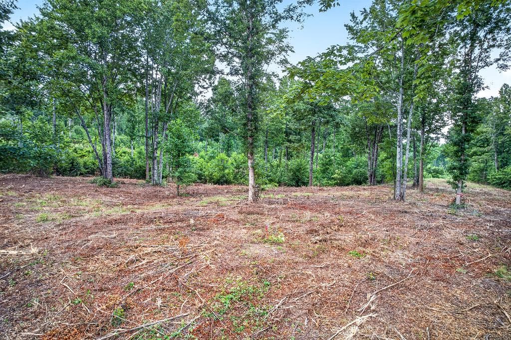 LT 227 Vineyard At Yukon, Talking Rock GA 30175 - Photo