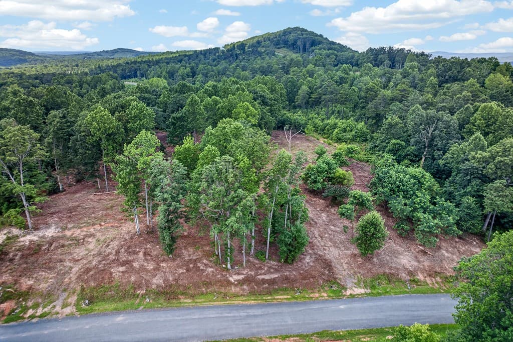 LT 227 Vineyard At Yukon, Talking Rock GA 30175 - Photo