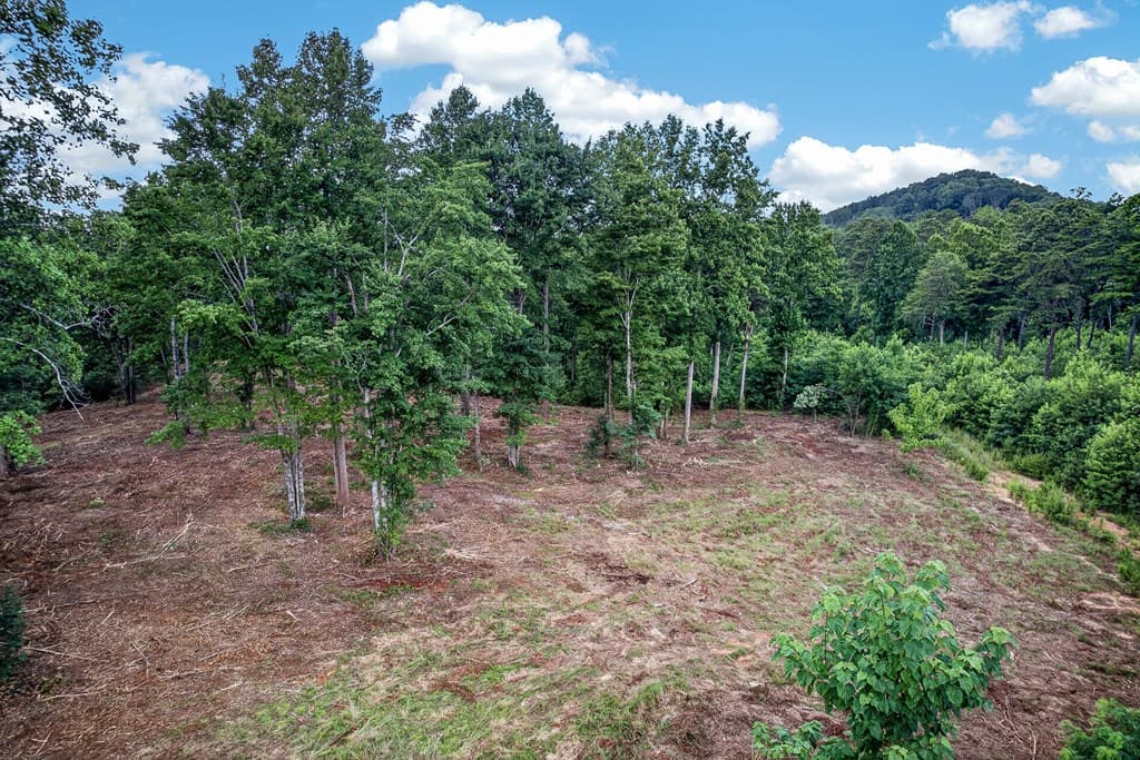 LT 227 Vineyard At Yukon, Talking Rock GA 30175 - Photo