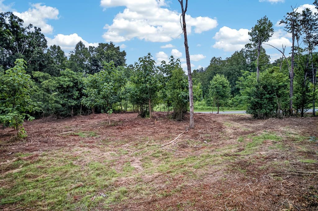 LT 227 Vineyard At Yukon, Talking Rock GA 30175 - Photo