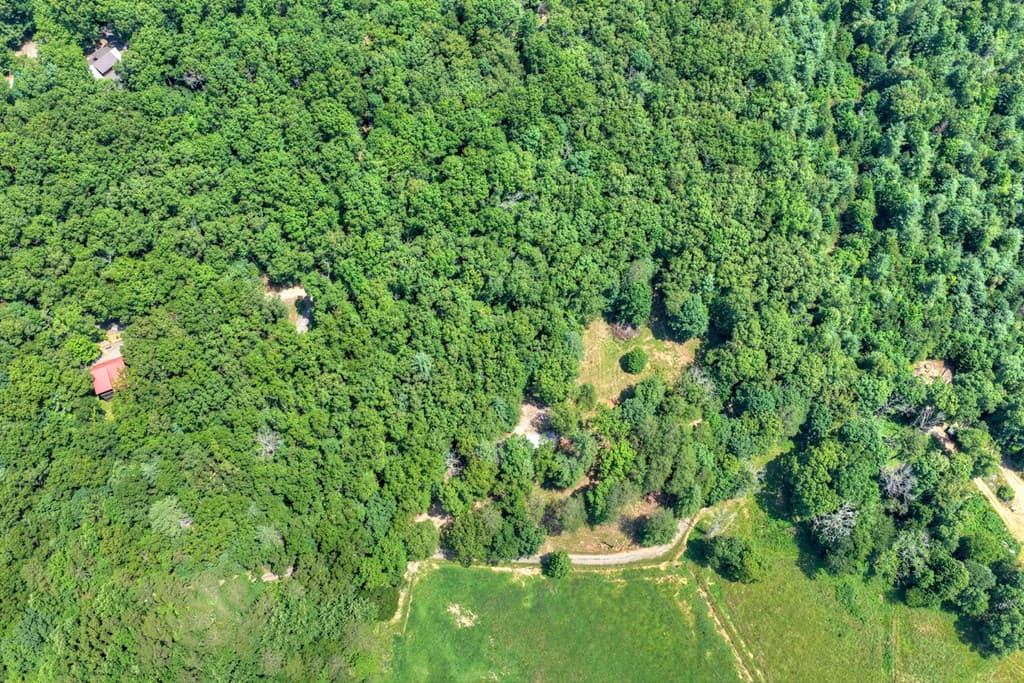 963 Black Ankle Lane, Blue Ridge GA 30513 - Photo