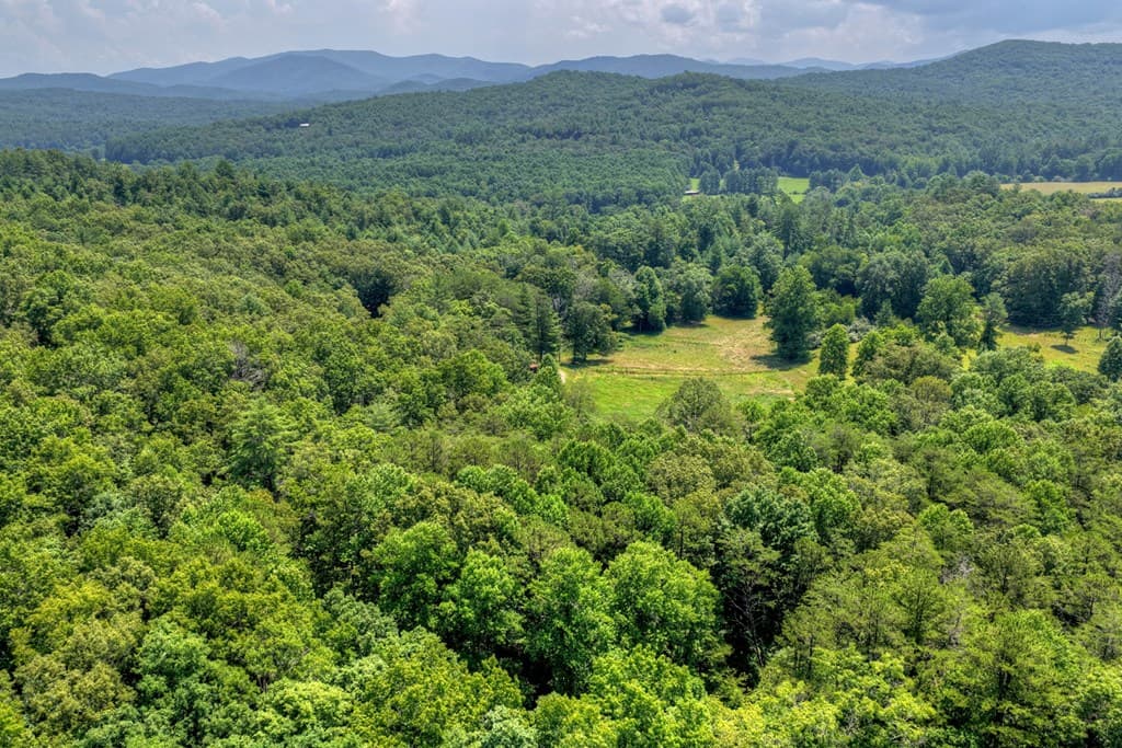963 Black Ankle Lane, Blue Ridge GA 30513 - Photo