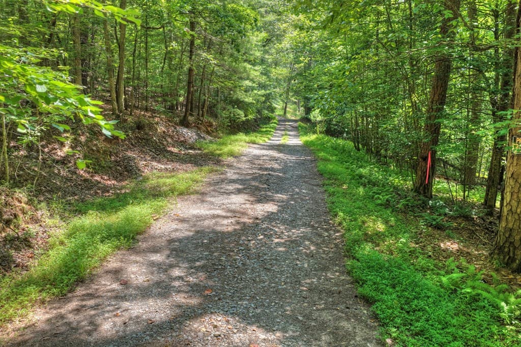 963 Black Ankle Lane, Blue Ridge GA 30513 - Photo