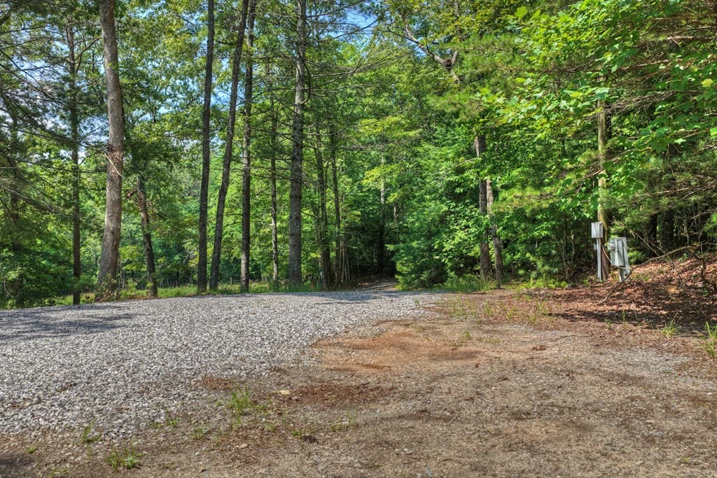 963 Black Ankle Lane, Blue Ridge GA 30513 - Photo