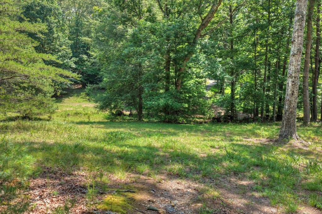 963 Black Ankle Lane, Blue Ridge GA 30513 - Photo