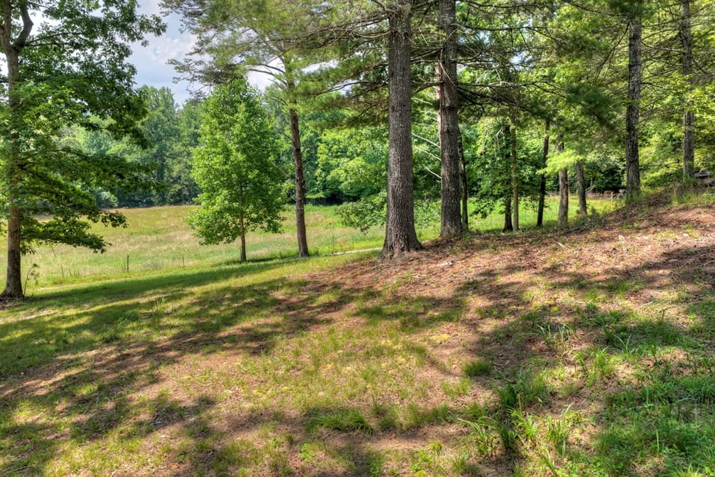 963 Black Ankle Lane, Blue Ridge GA 30513 - Photo