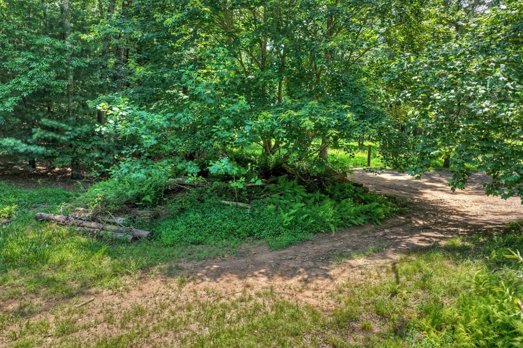 963 Black Ankle Lane, Blue Ridge GA 30513 - Photo
