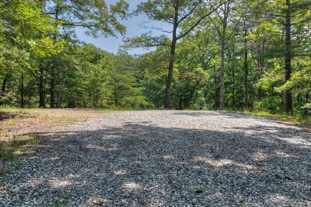 963 Black Ankle Lane, Blue Ridge GA 30513 - Photo