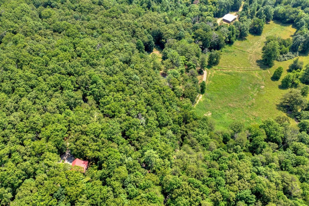 963 Black Ankle Lane, Blue Ridge GA 30513 - Photo