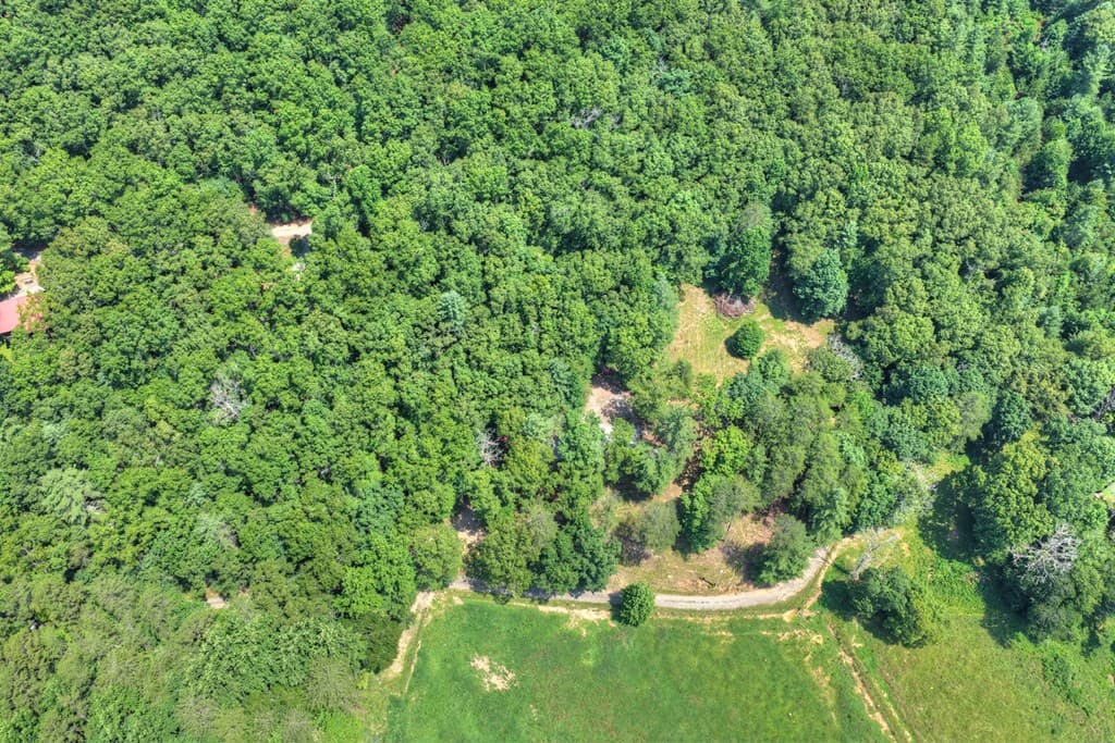 963 Black Ankle Lane, Blue Ridge GA 30513 - Photo