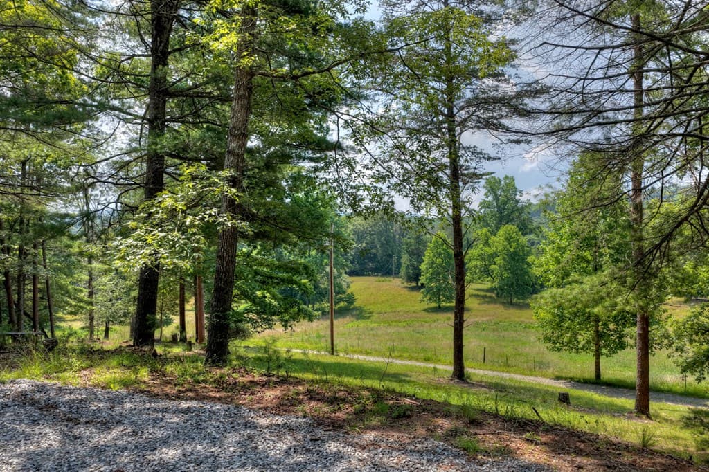 963 Black Ankle Lane, Blue Ridge GA 30513 - Photo