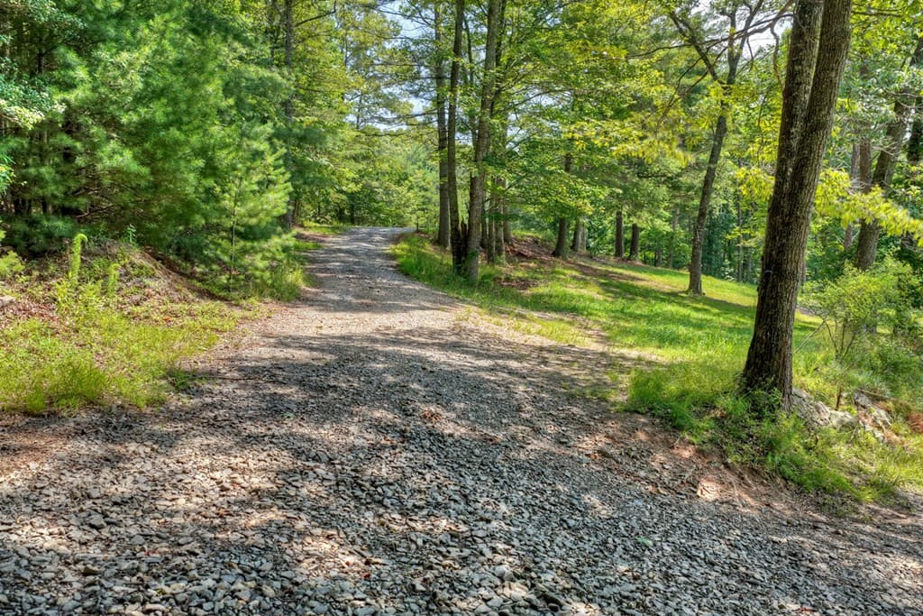 963 Black Ankle Lane, Blue Ridge GA 30513 - Photo
