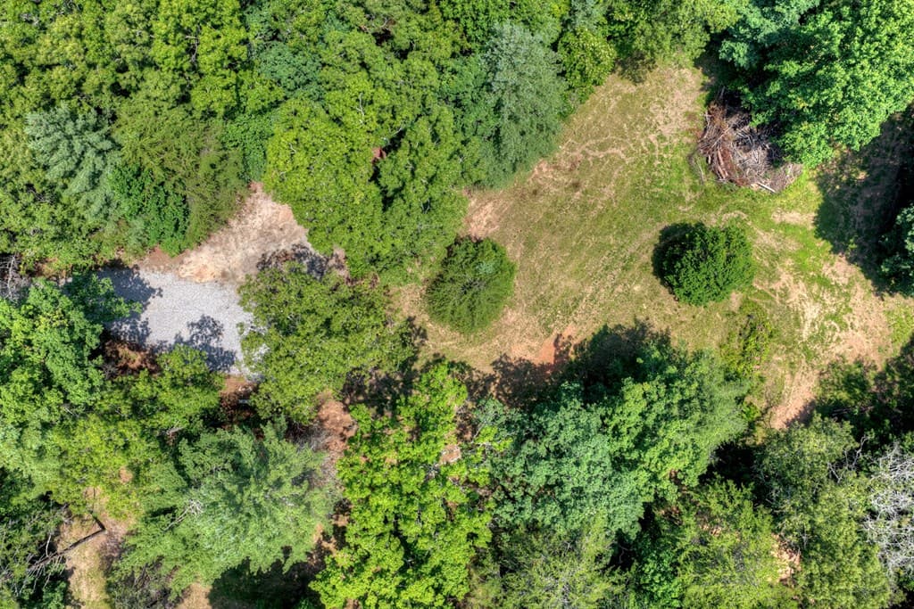 963 Black Ankle Lane, Blue Ridge GA 30513 - Photo