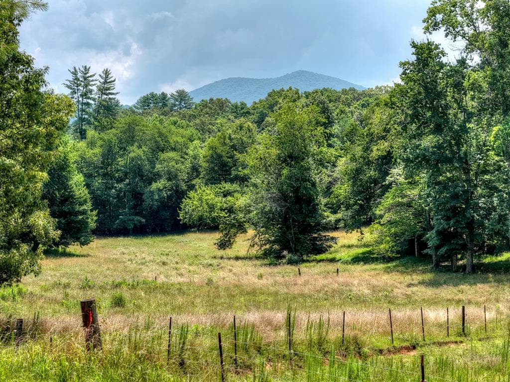 963 Black Ankle Lane, Blue Ridge GA 30513 - Primary photo