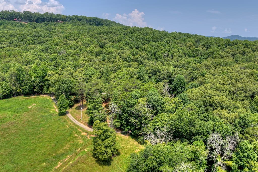 963 Black Ankle Lane, Blue Ridge GA 30513 - Photo