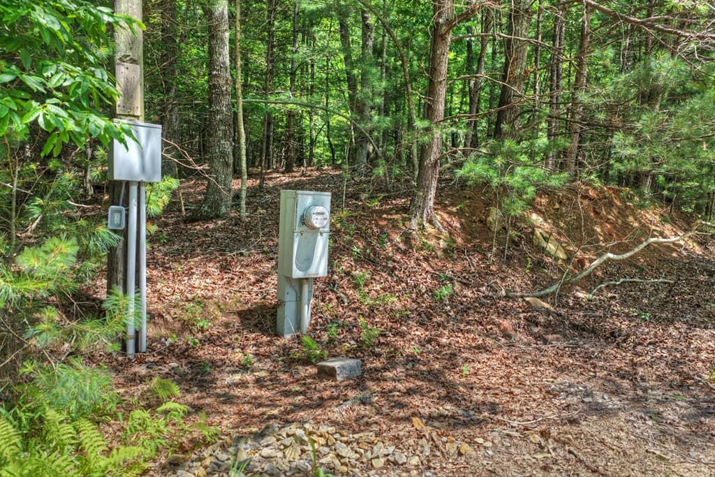 963 Black Ankle Lane, Blue Ridge GA 30513 - Photo