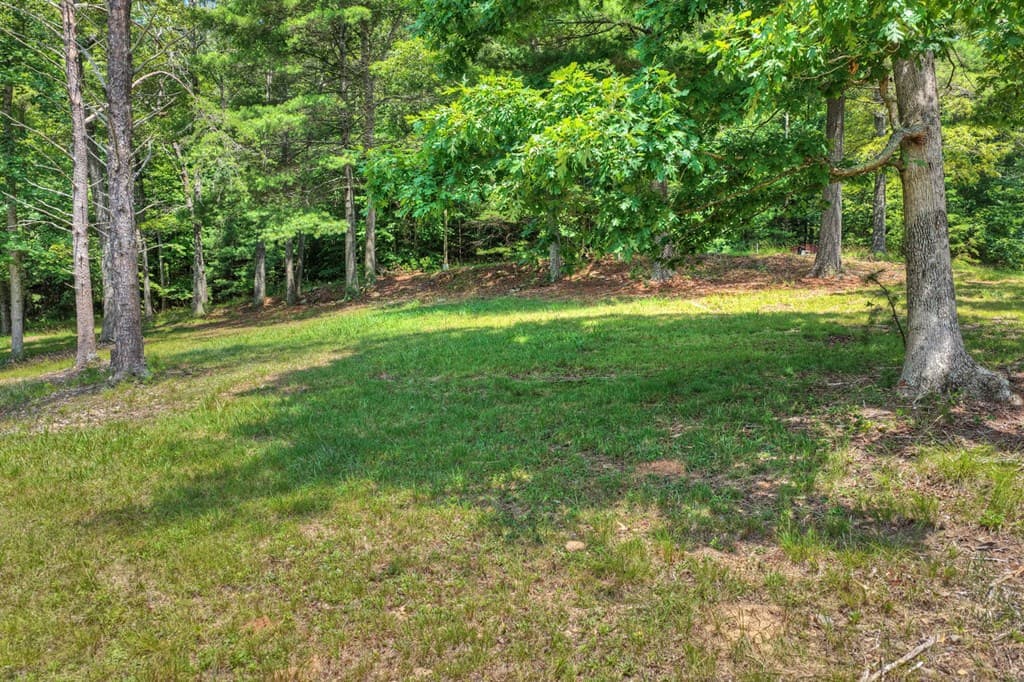 963 Black Ankle Lane, Blue Ridge GA 30513 - Photo