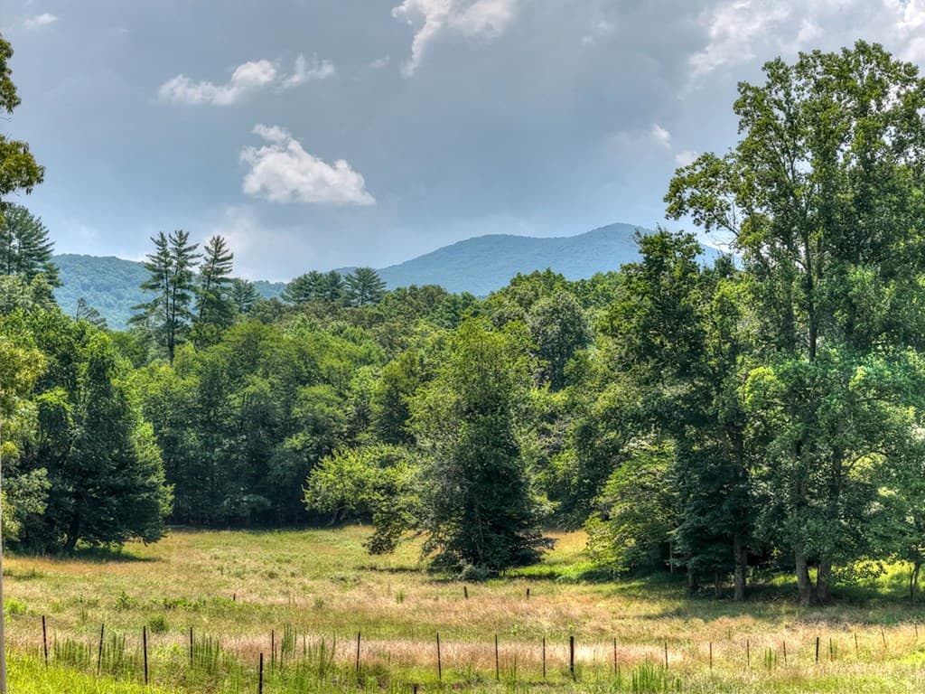 963 Black Ankle Lane, Blue Ridge GA 30513 - Photo