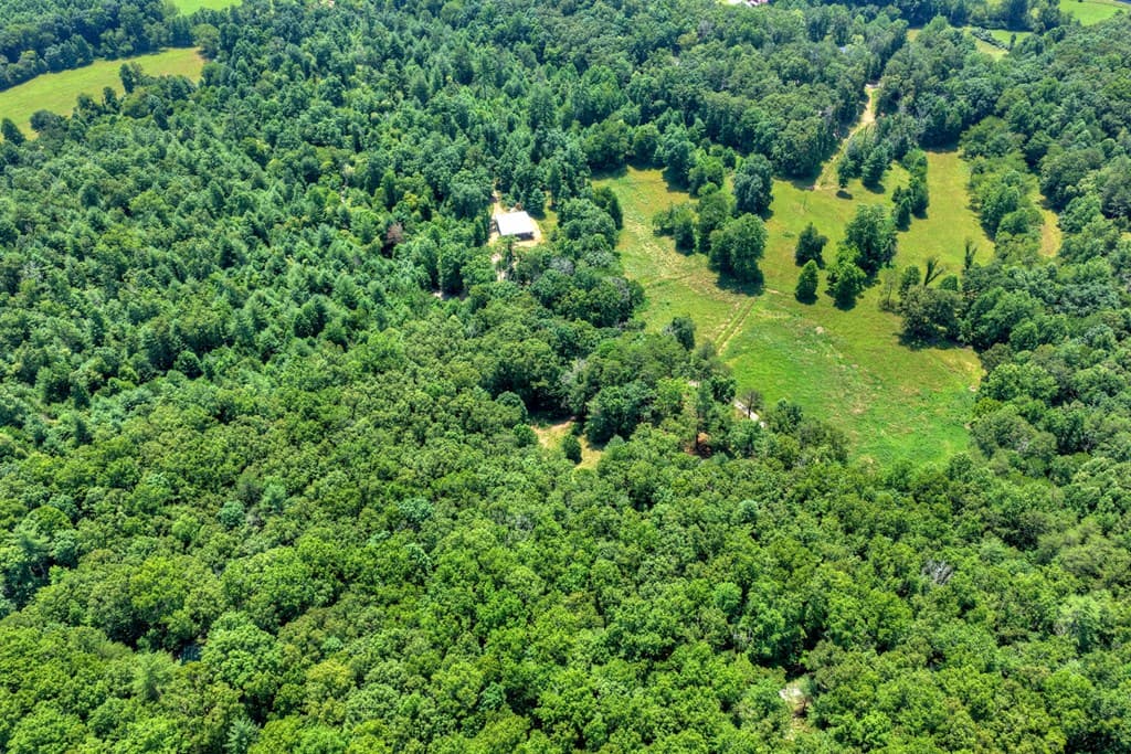 963 Black Ankle Lane, Blue Ridge GA 30513 - Photo