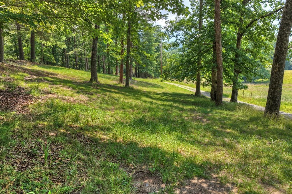 963 Black Ankle Lane, Blue Ridge GA 30513 - Photo