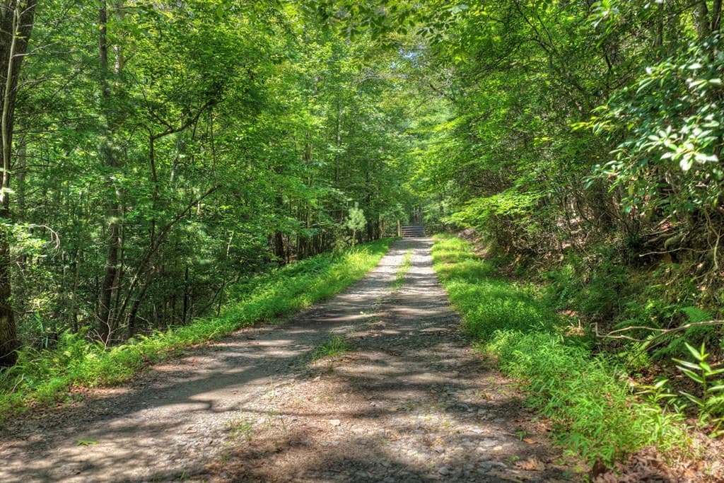 963 Black Ankle Lane, Blue Ridge GA 30513 - Photo