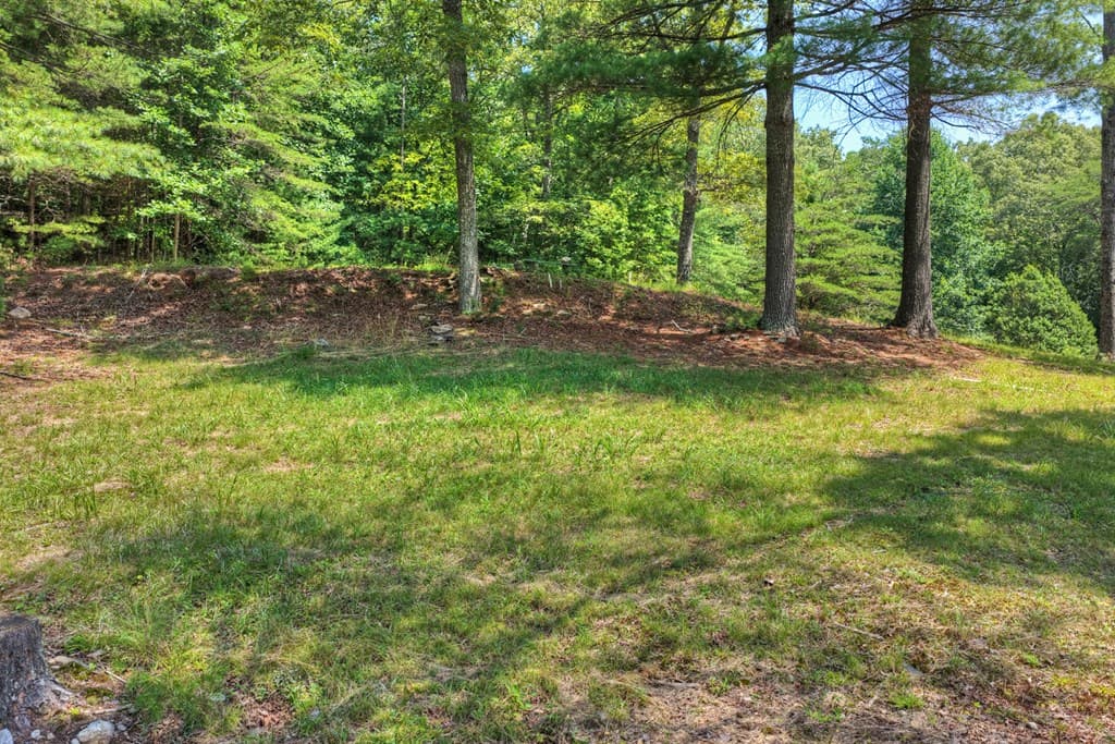 963 Black Ankle Lane, Blue Ridge GA 30513 - Photo