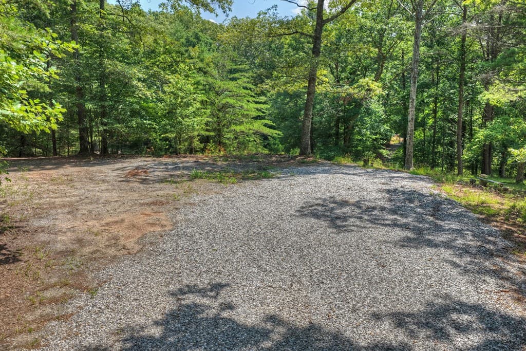 963 Black Ankle Lane, Blue Ridge GA 30513 - Photo