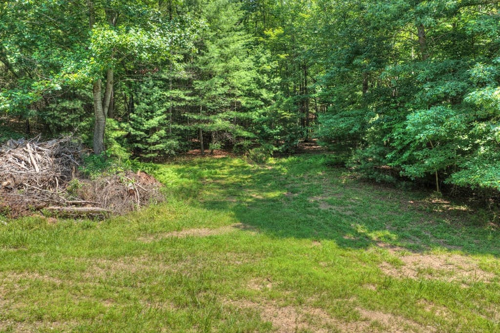 963 Black Ankle Lane, Blue Ridge GA 30513 - Photo