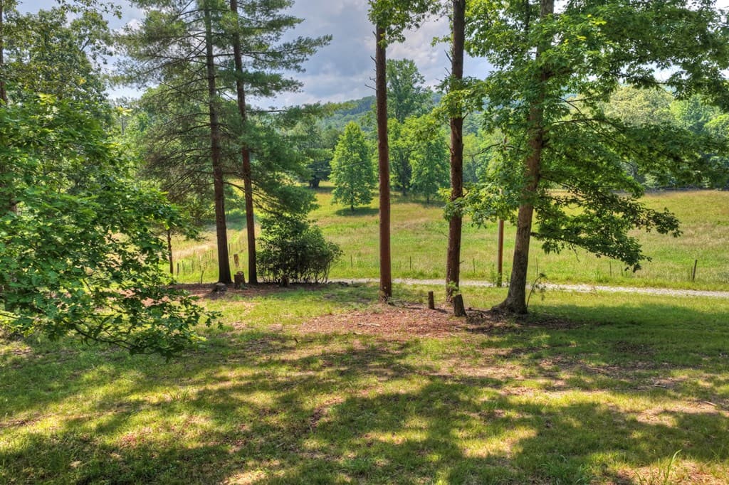 963 Black Ankle Lane, Blue Ridge GA 30513 - Photo
