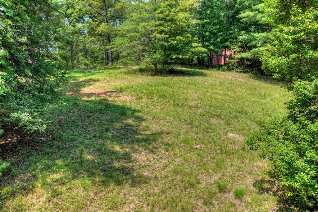 963 Black Ankle Lane, Blue Ridge GA 30513 - Photo