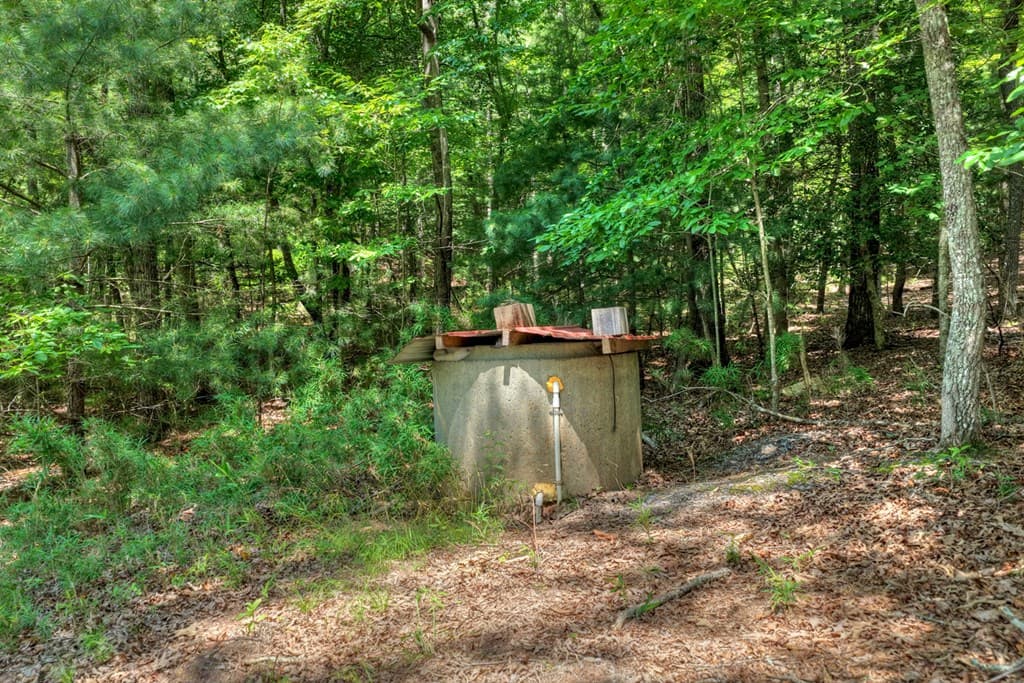 963 Black Ankle Lane, Blue Ridge GA 30513 - Photo