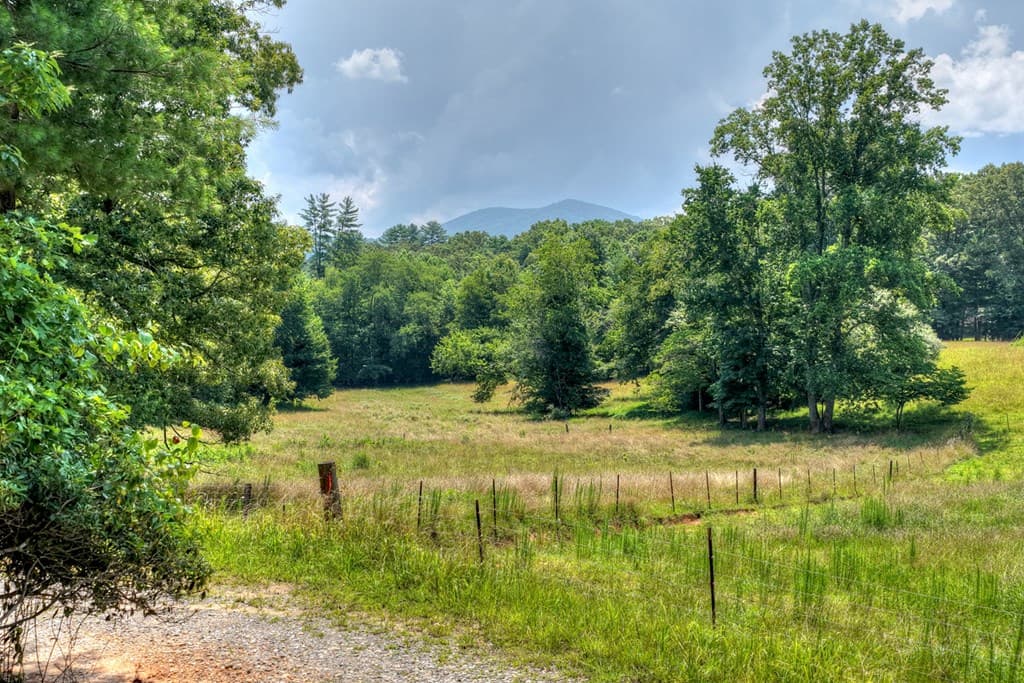 963 Black Ankle Lane, Blue Ridge GA 30513 - Photo