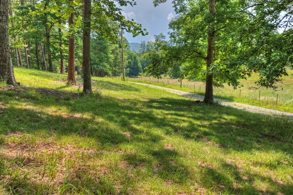 963 Black Ankle Lane, Blue Ridge GA 30513 - Photo