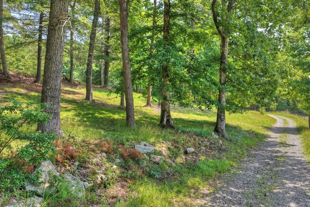 963 Black Ankle Lane, Blue Ridge GA 30513 - Photo