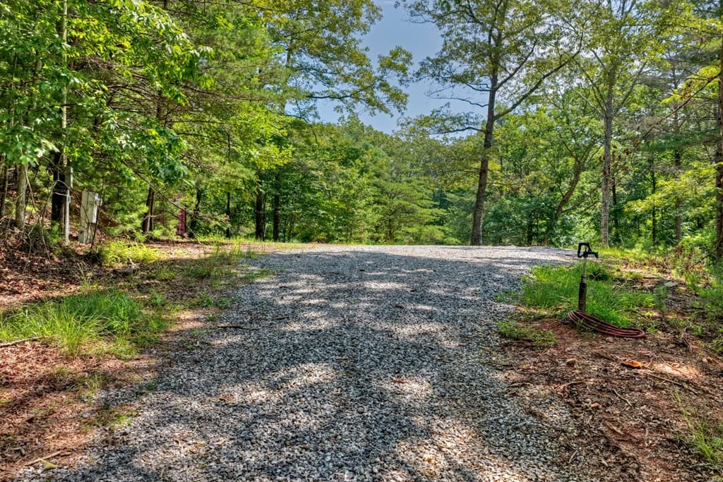 963 Black Ankle Lane, Blue Ridge GA 30513 - Photo