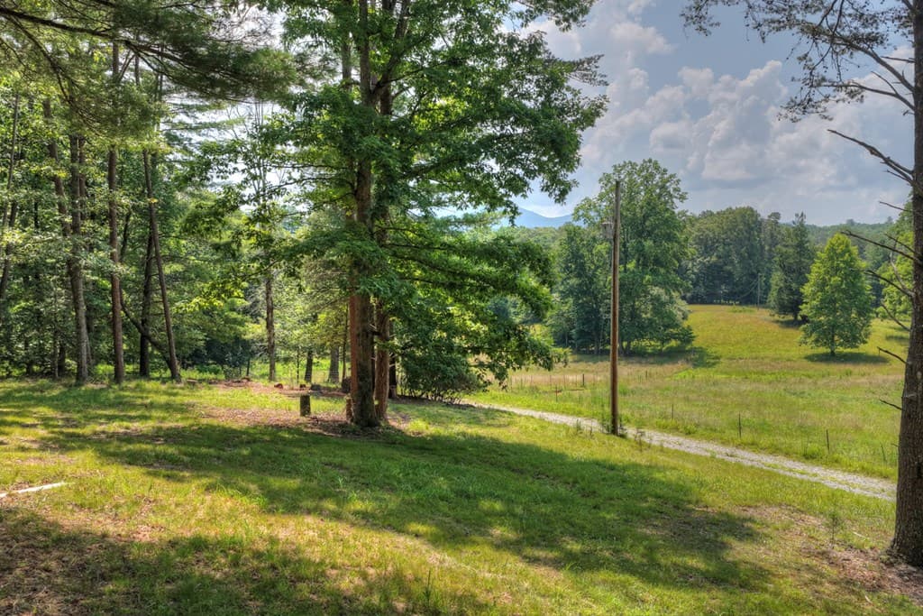963 Black Ankle Lane, Blue Ridge GA 30513 - Photo