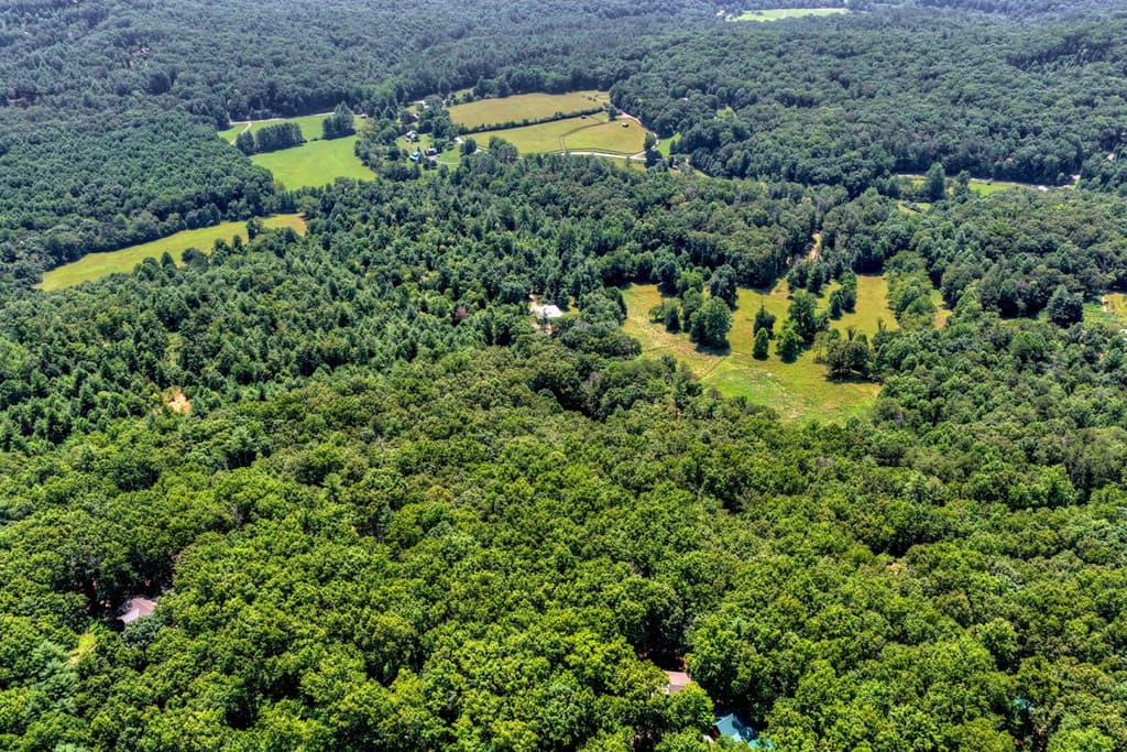 963 Black Ankle Lane, Blue Ridge GA 30513 - Photo