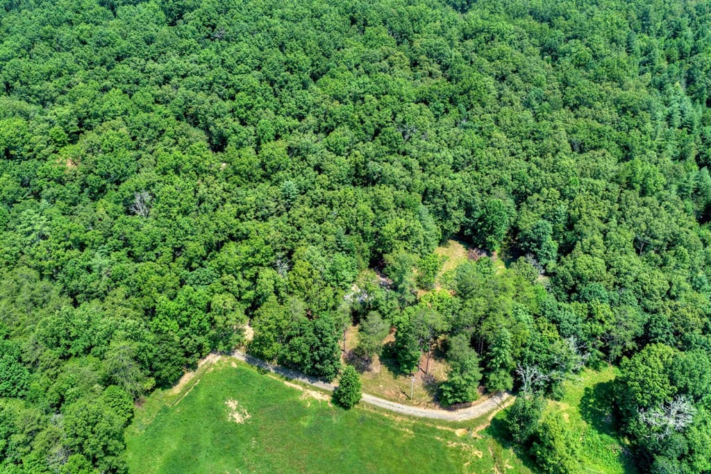 963 Black Ankle Lane, Blue Ridge GA 30513 - Photo