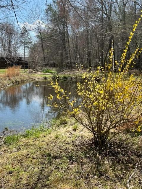 215 Dunn Mill Creek Road, Blue Ridge GA 30513 - Photo