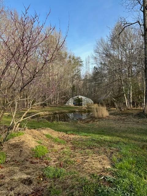 215 Dunn Mill Creek Road, Blue Ridge GA 30513 - Photo