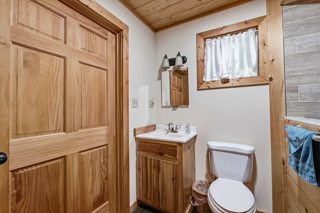 215 Dunn Mill Creek Road, Blue Ridge GA 30513 - Photo